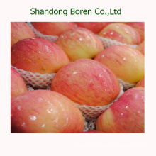 Export Fresh Red Star Apple From China